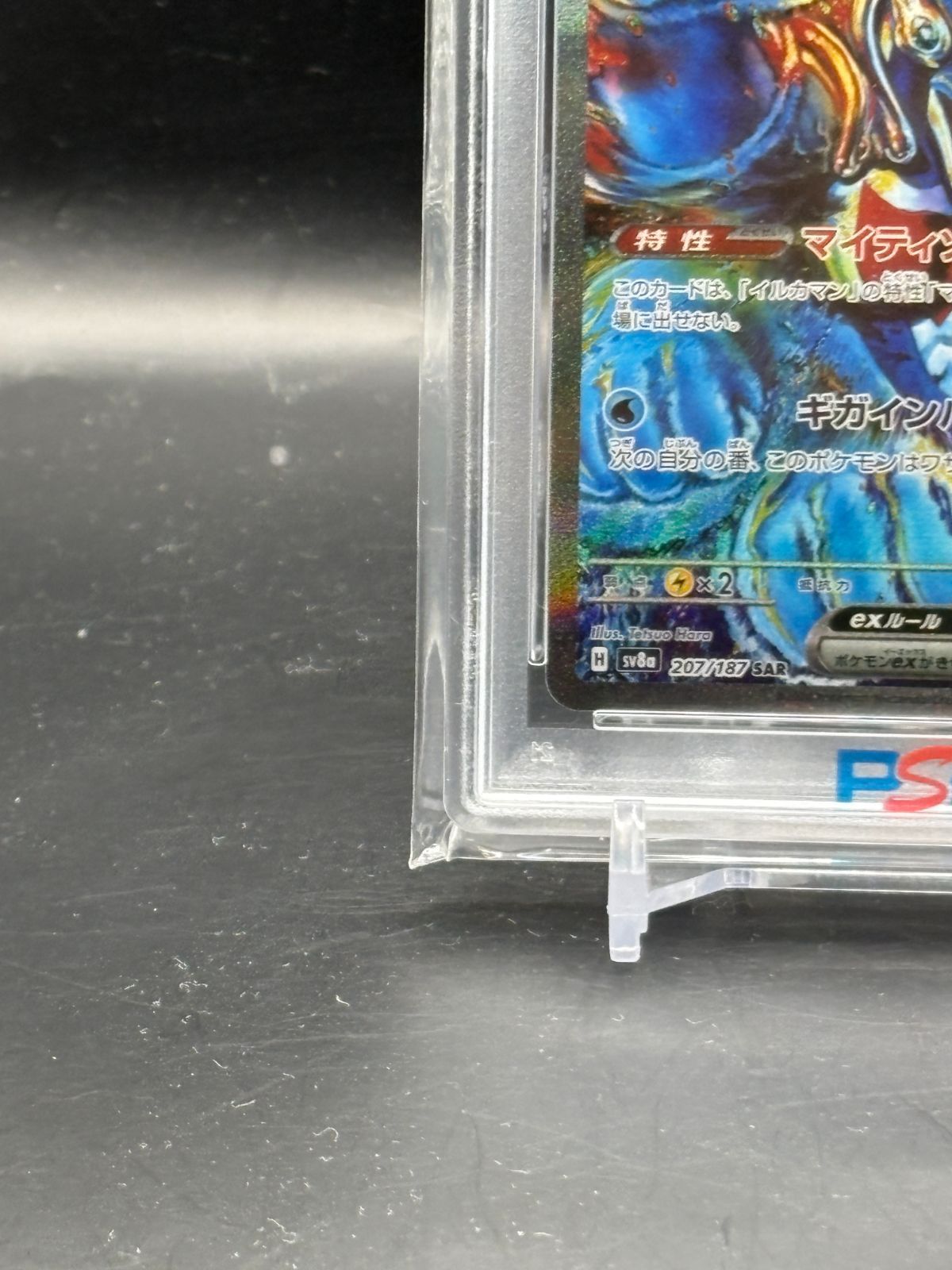PSA10】ポケモンカードゲームテラスタルフェス収録 イルカマンex sv8a