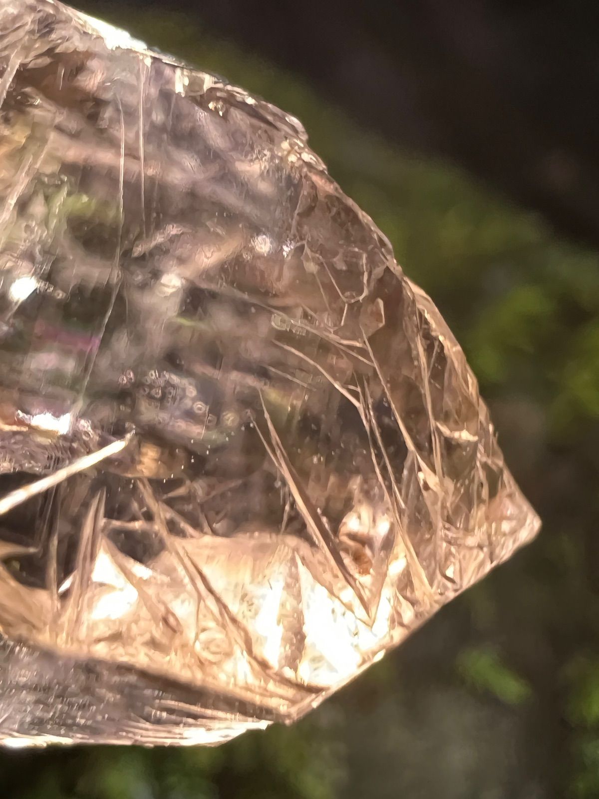 宮崎産 虹入り成長干渉煙水晶