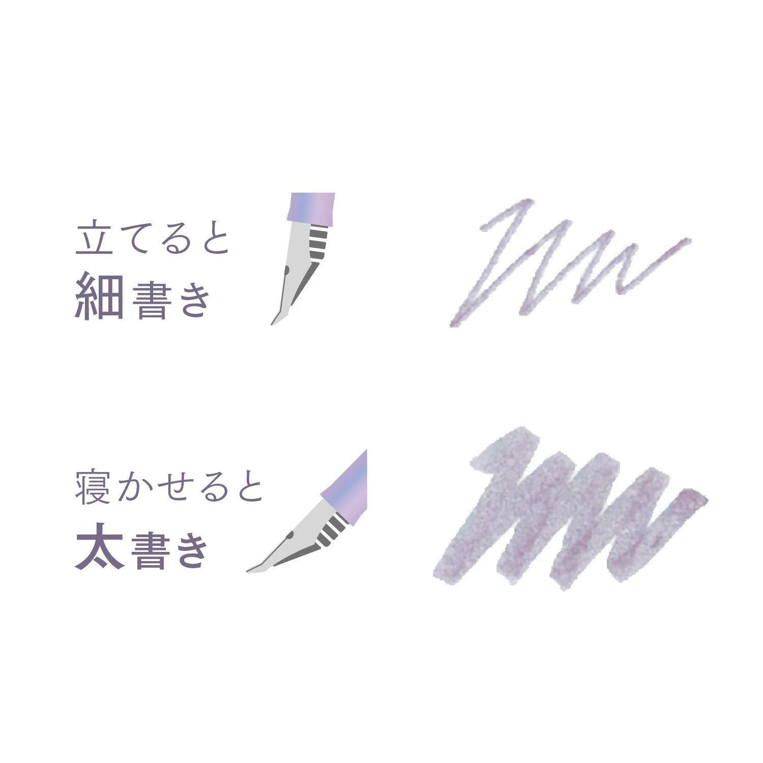 新品未開封 セーラー万年筆 万年筆 プロフィットジュニア+10