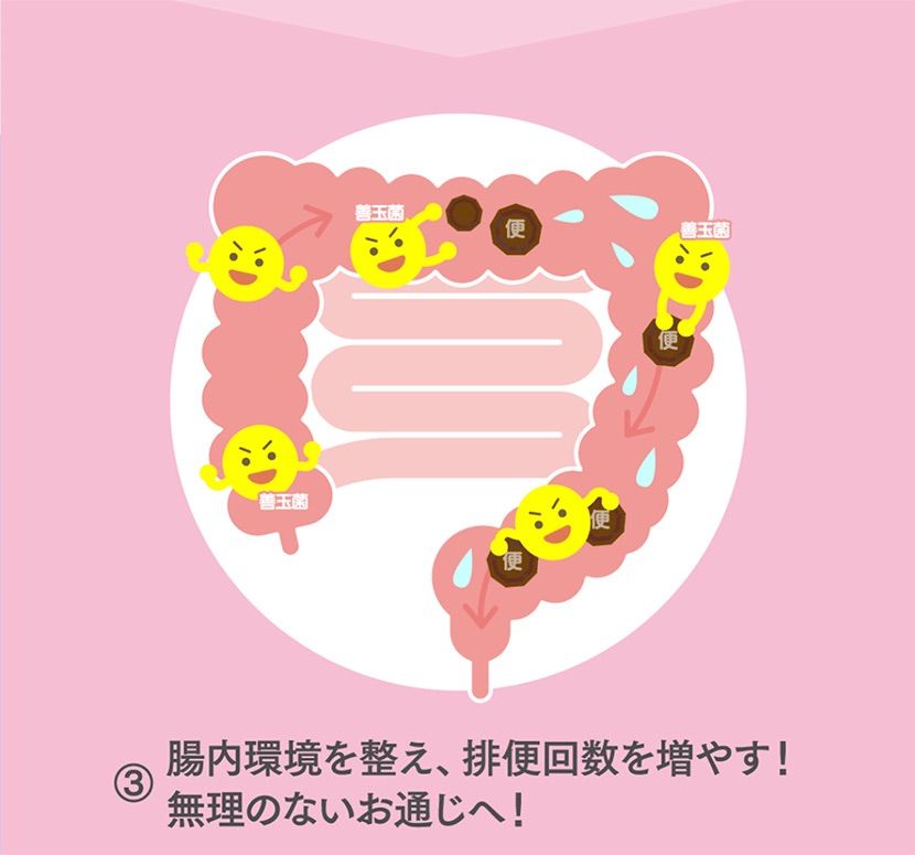 のサムネイル