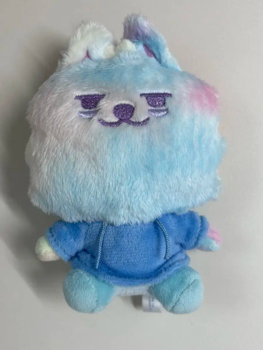TOMORROW X TOGETHER TXT レインボー ホーンバトゥ チェ ヨンメン ドラゴン メン キーリング スビン CHOI SUBIN チェスビン 人形 ぬいぐるみ ぬい