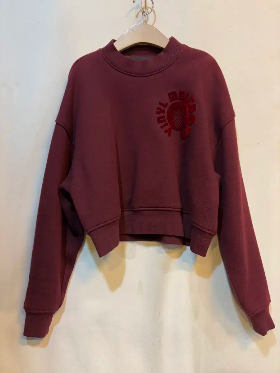 Alexander Wang アレキサンダーワング 起毛 クロップドパーカー 55-88サイズ