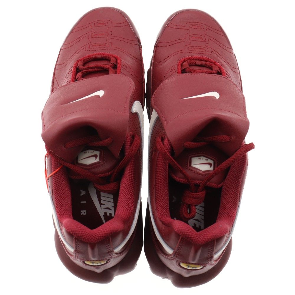 NIKE (ナイキ) AIR MAX PLUS HM5654-600 エアマックスプラス
