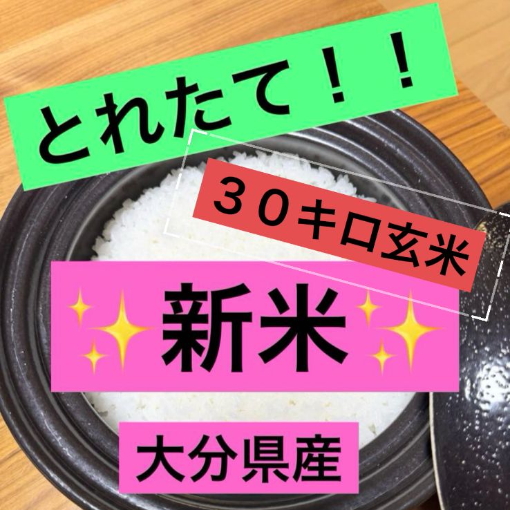 新米 獲れたて 農家直送 大分県産 なつほのか 30キロ玄米