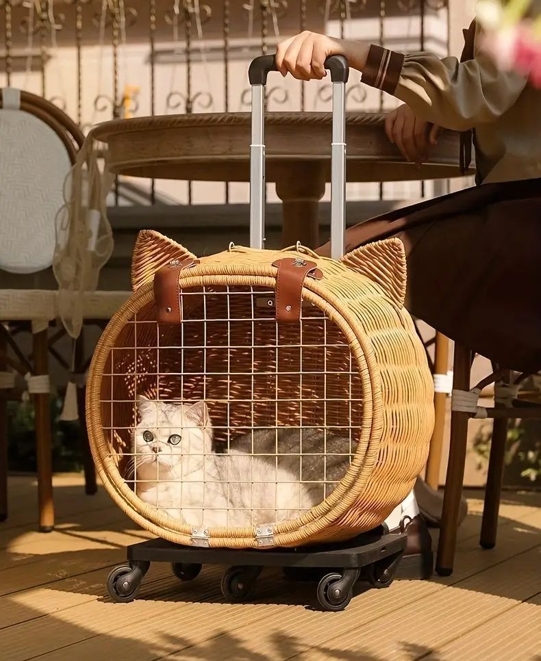 取っ手付き