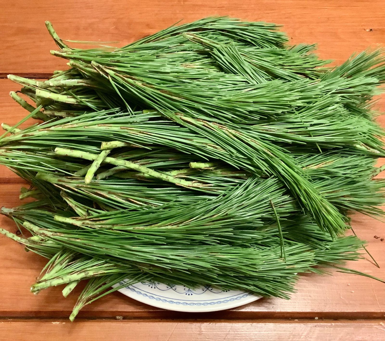 天然赤松 松葉の新芽2kg 大増量 保存用 レシピ付 南アルプス白州 即日