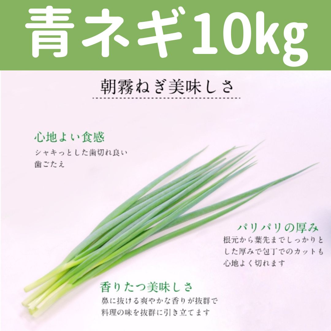 青ネギ 10kg SSサイズ 業務用 クール便 送料込 - メルカリ