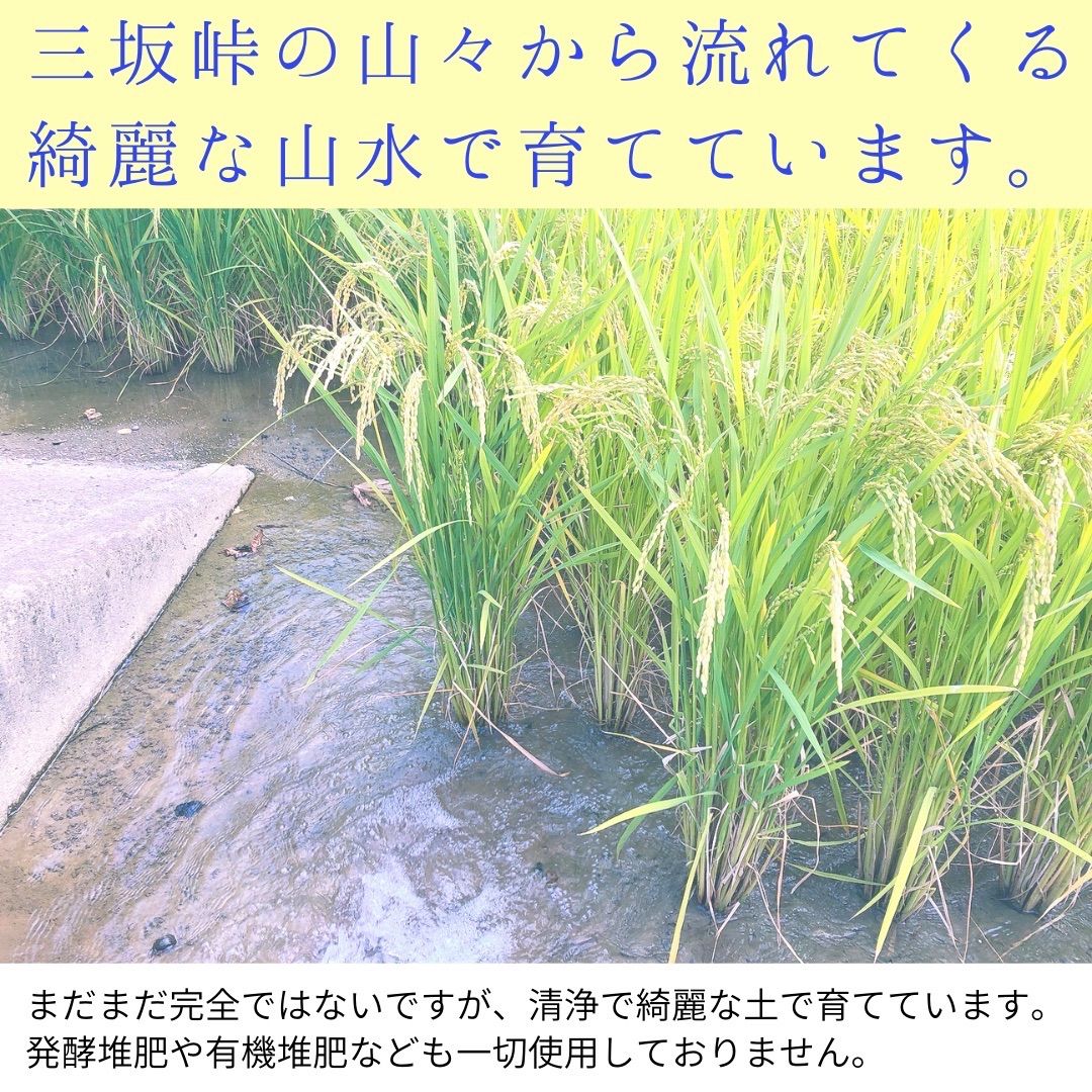 自然農法『ひめの凛』(玄米30kg)-3