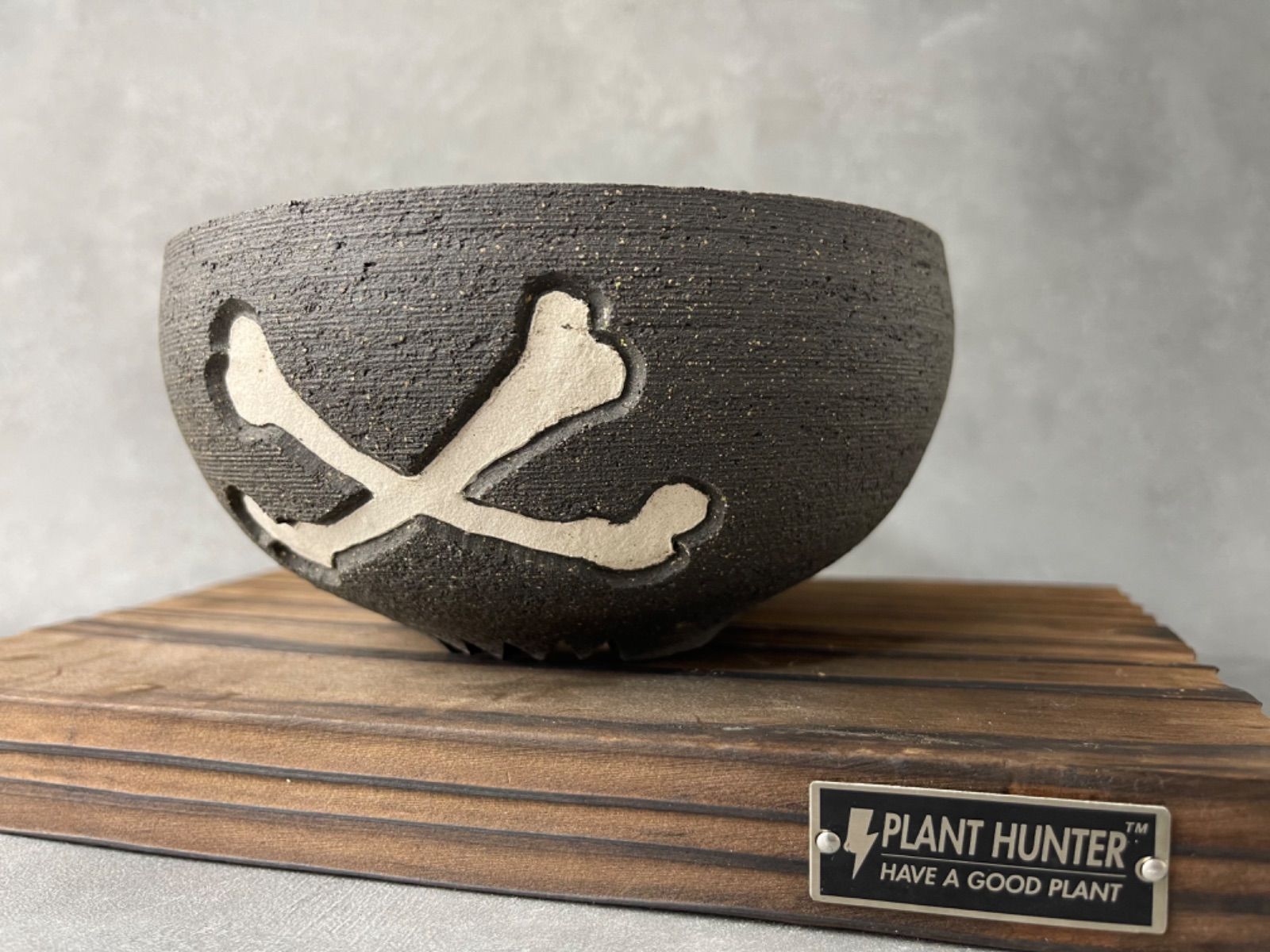 人気入荷！数量限定 PLANT HUNTER オリジナル 陶器鉢 植木鉢 - メルカリ