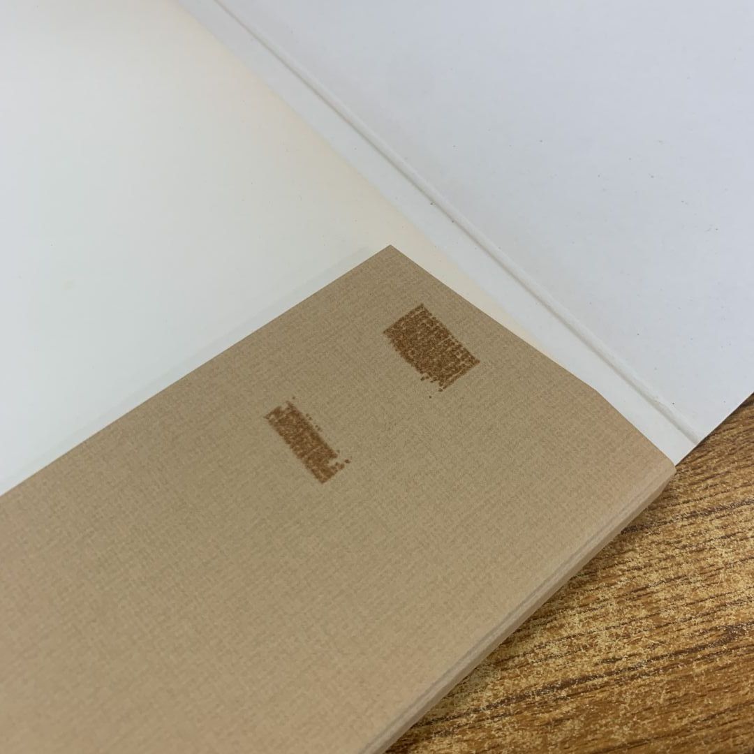 ■01)【同梱不可】長崎派の花鳥画 全4巻セット/沈南蘋とその周辺/越中哲也/徳山光/木村重圭/フジアート出版/昭和55年発行/B 長崎派の花鳥画 : 沈南蘋とその周辺 全4巻揃(越中哲也, 徳山光