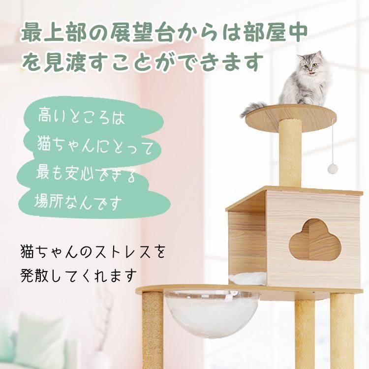 隠れ家 多頭飼い
