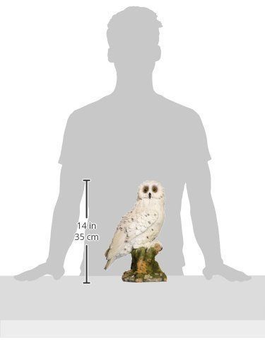 神秘的な白ふくろう像 彫刻 彫像/ フクロウカフェ バードカフェ