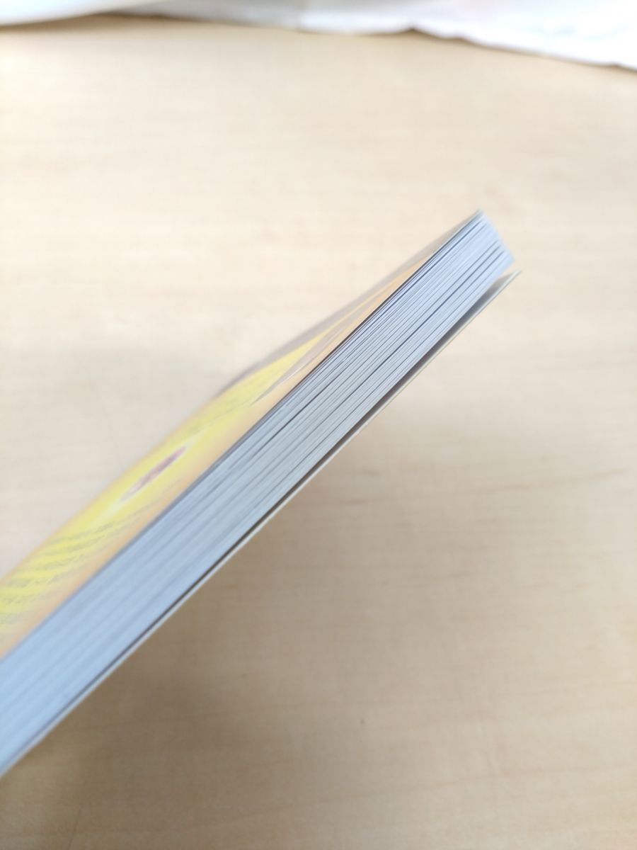 日本語版説明書付