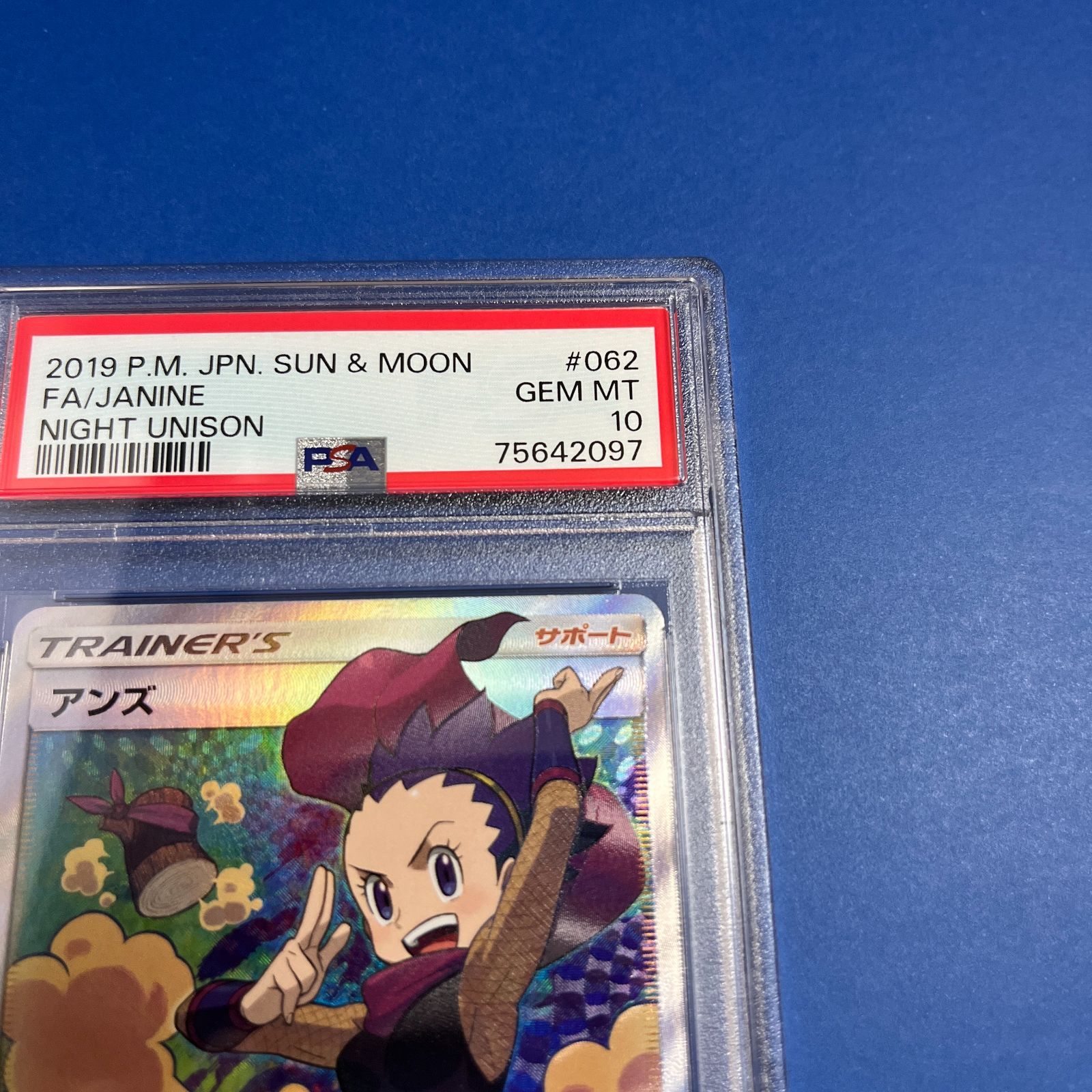 アンズ SR PSA10 ナイトユニゾン | ochge.org