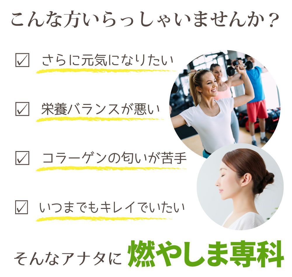 クラシック SHOP connectエナジークエスト 燃やしま専科 500g 3個