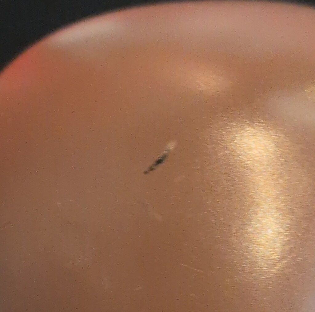 電人ナカジマ タイガーマスク