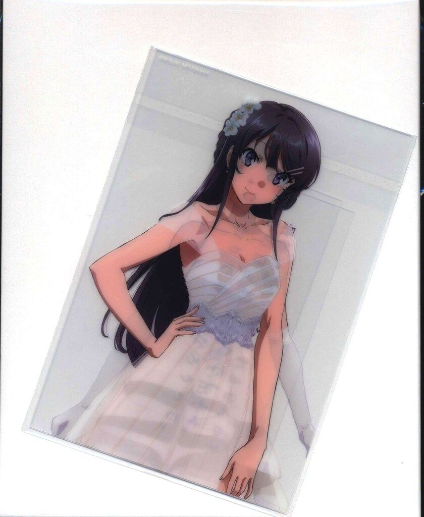 エボルヴ 愚かなる賢者・リンクル リーダー