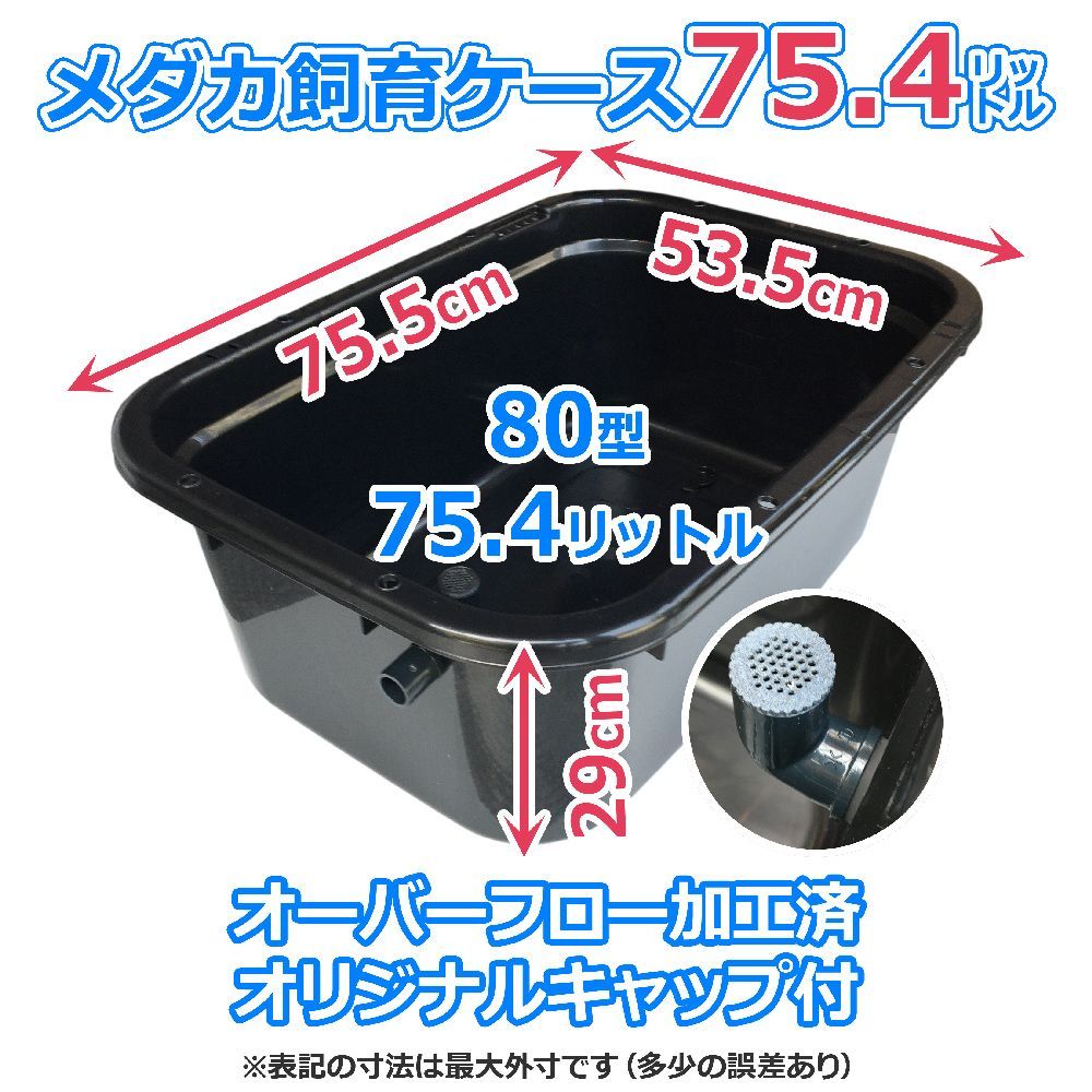 メダカ飼育ケース 75㍑黒x1個 オーバーフローキャップ付（関東～九州へ 