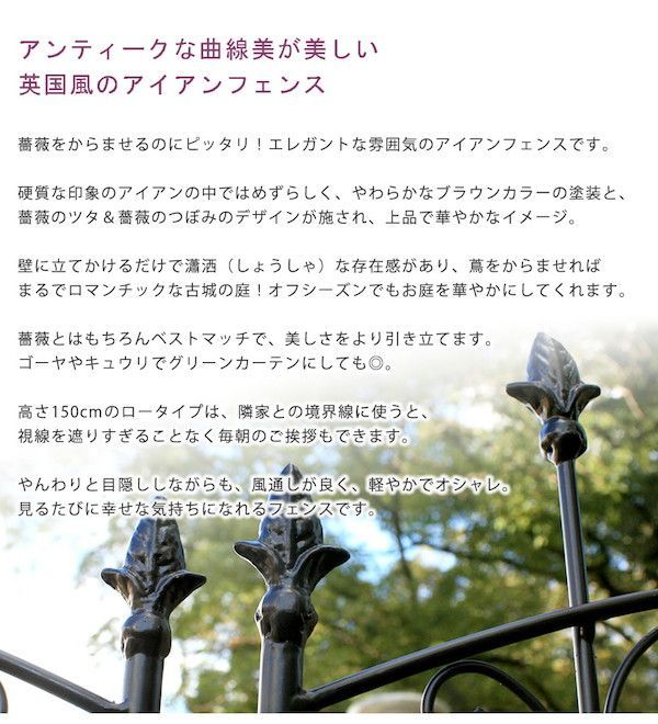 バラ 園芸