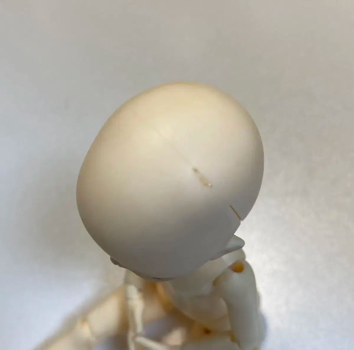 ドールショップ 球形ジョイントドール