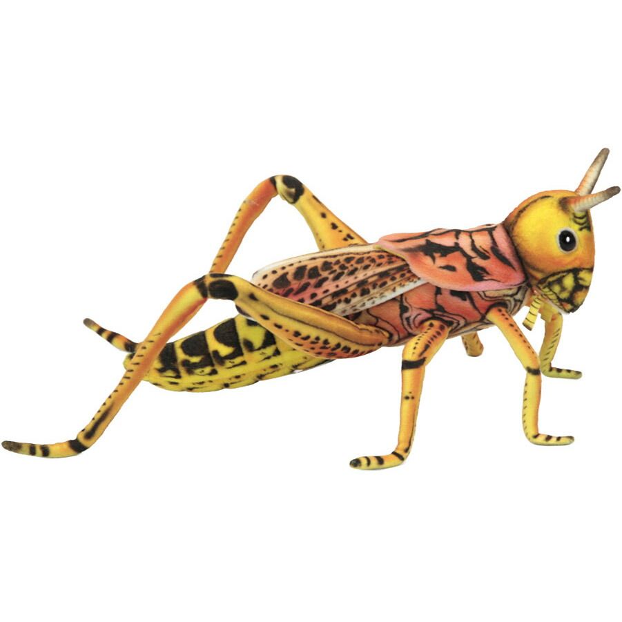 HANSA BH6569 バッタ 27 GRASSHOPPER 昆虫 虫 リアル グラスホッパー ぬいぐるみ ハンサ 動物 アニマル 置物 人形 フィギュア 大きい 実物大 大型 ビッグ おすすめ かわいい おしゃれ とんぼ