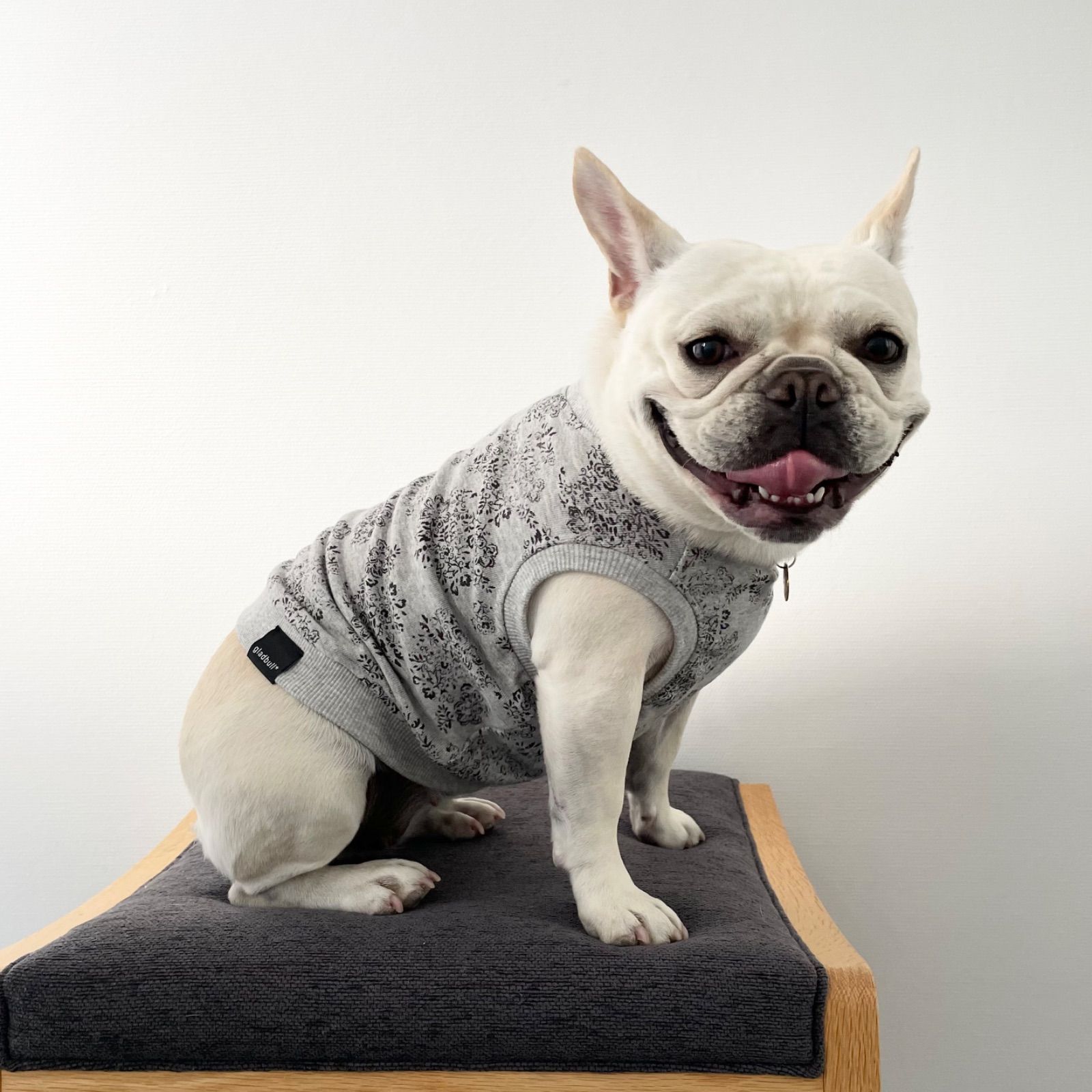 フレブル フレンチブルドッグ ハンドメイド 犬服①（犬服