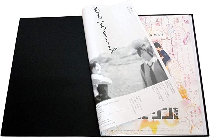 グリーンウィーク B2 ポスター ファイル 収納20枚 中紙・収納ケース付GWB2F-20(黒，  10ポケット（収納20枚）「中紙付」)