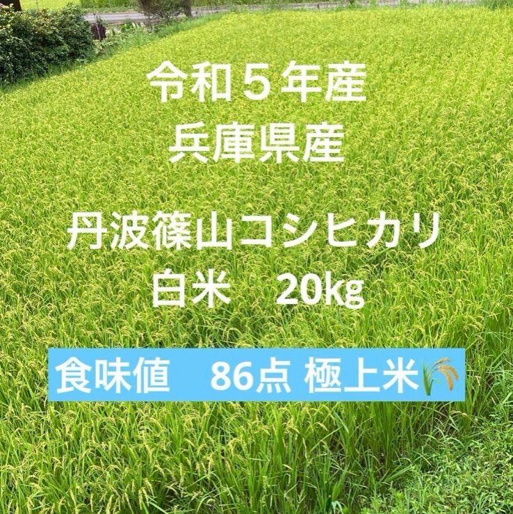 新米【丹波篠山コシヒカリ】白米/20㎏ 令和5年産〈単一原料米〉食味値