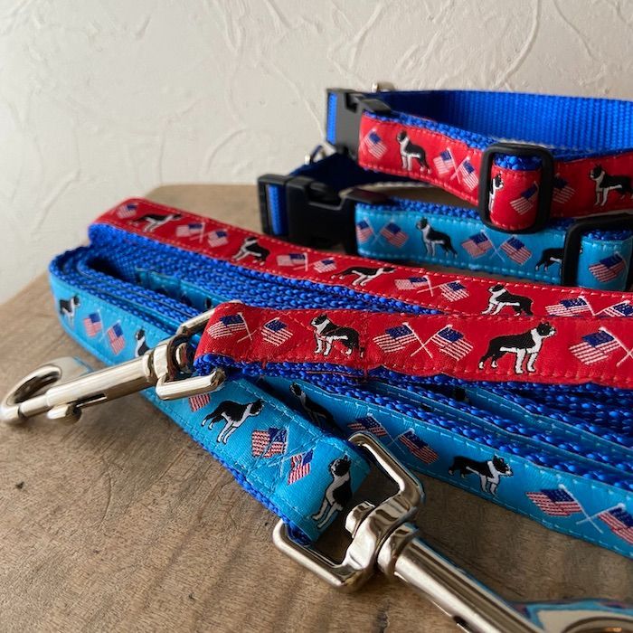 ハルカトミユキ DVD2枚セット