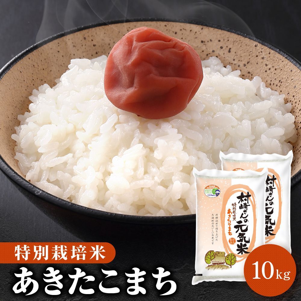 令和6年産 特別栽培米 10kg 秋田県大潟村産 あきたこまち 沖縄配送不可
