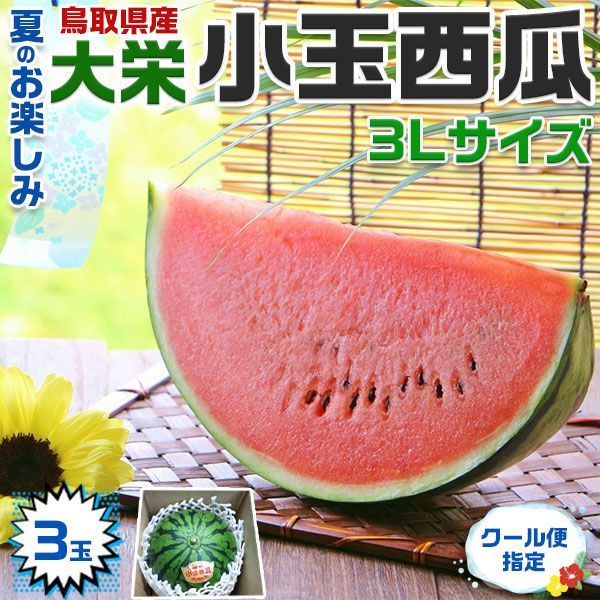 大栄西瓜 大栄スイカ 小玉西瓜 3Lサイズ 3玉入り 鳥取県産【★クール便指定】【鳥取産小玉西瓜】検査場で糖度検査済 お中元・家庭用 すいかギフト 果物 フルーツ JA鳥取中央の西瓜