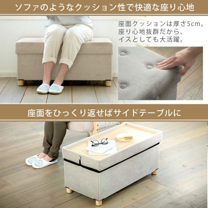 5営業日で発送 IRISOHYAMA アイリスオーヤマ 脚付き収納スツール ワイド ASSTW-76 グレー MARWIL-DEMENAGEMENTS_CH