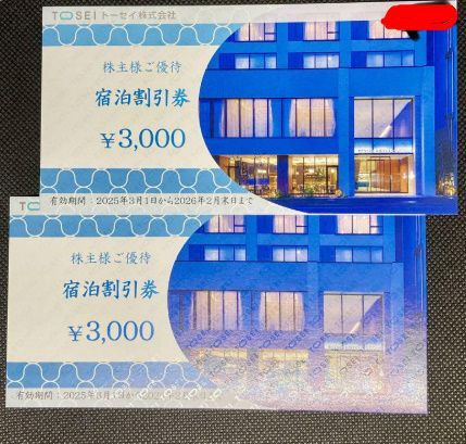 トーセイ株主優待 宿泊割引券 2枚セット - メルカリ トーセイ株主優待 宿泊割引券 2枚セット - メルカリ