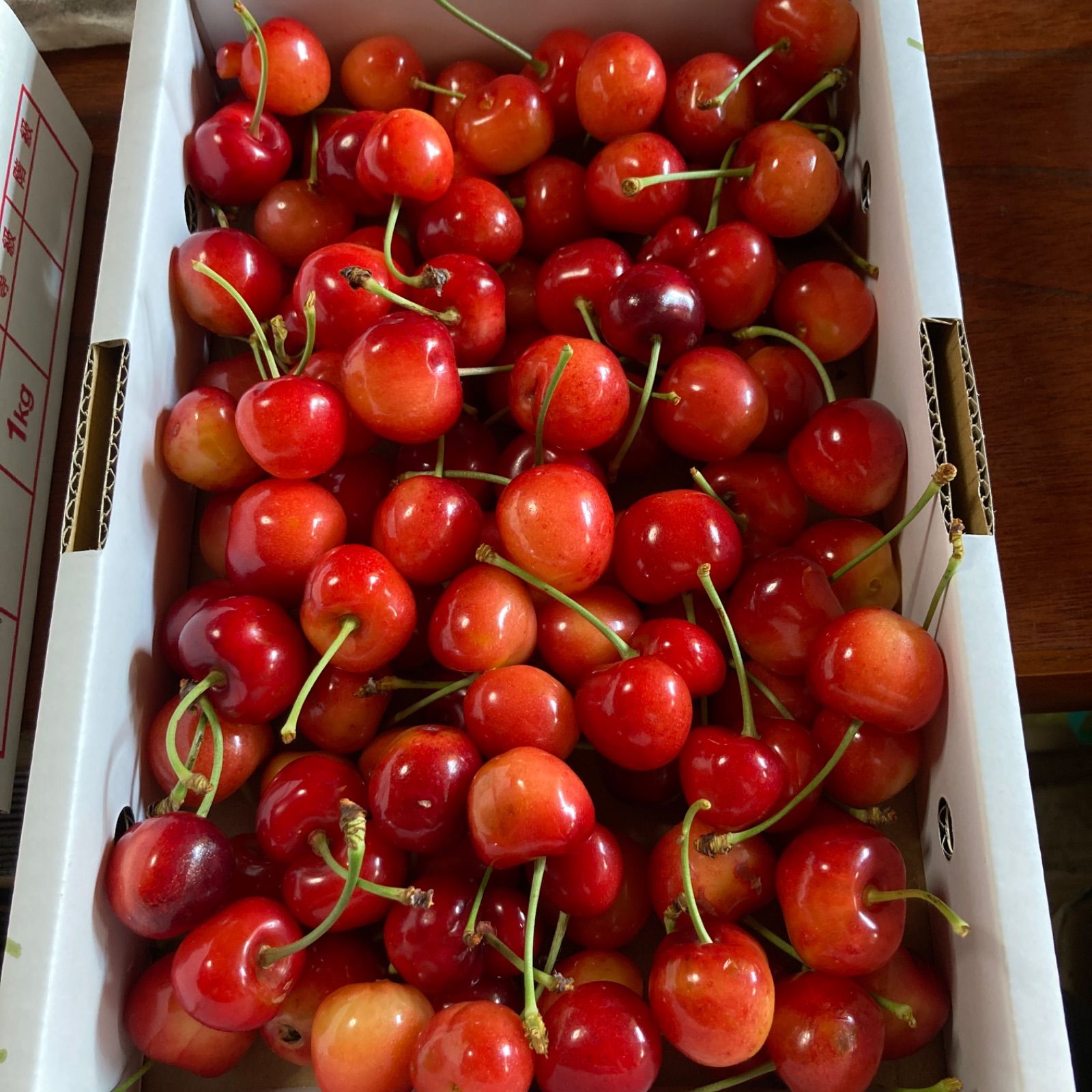 FEILER×九谷焼 3種セット ハイジサマー フェイラー