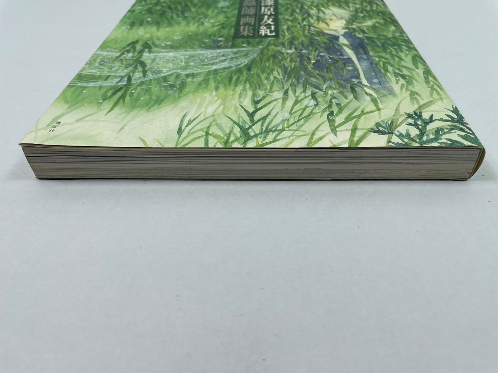 蟲師」二十景〜蟲襖〜(むしあお) 漆原友紀画集 1901・漆原友紀