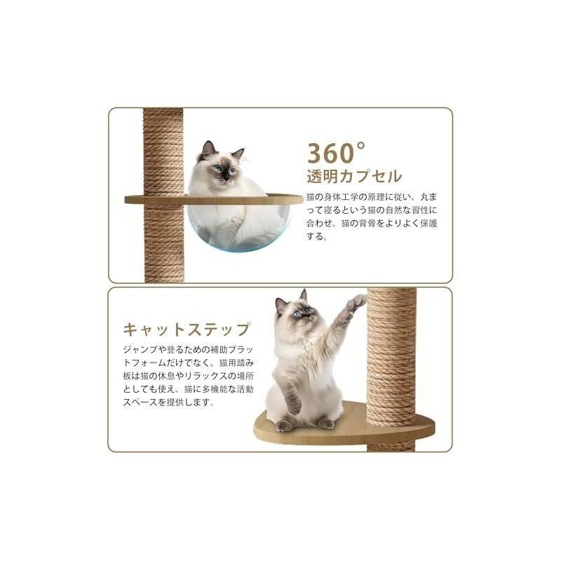 キャットタワー 突っ張り 木製 キャットツリー 木登りタワー 多層無垢
