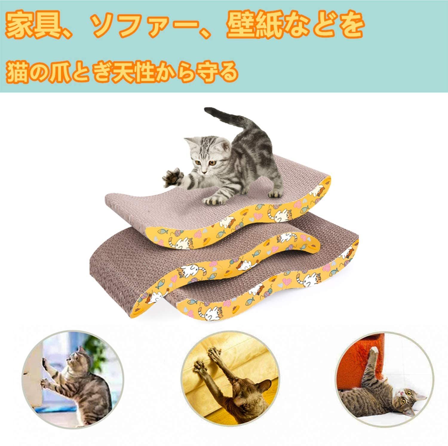 猫