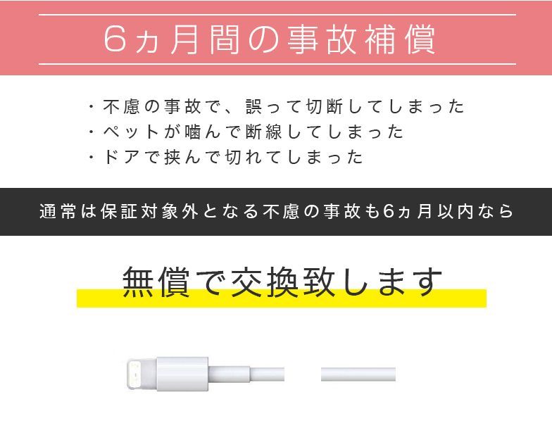 iPhone 純正品質 ライトニングケーブル TypeC SecuSTATION-8
