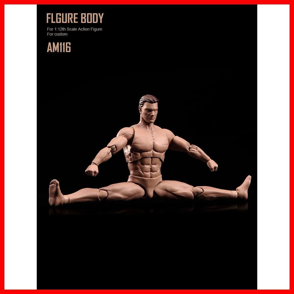 ク ー ポ ン 有☆彡6インチ男性の体型モデル 1/12スケール
