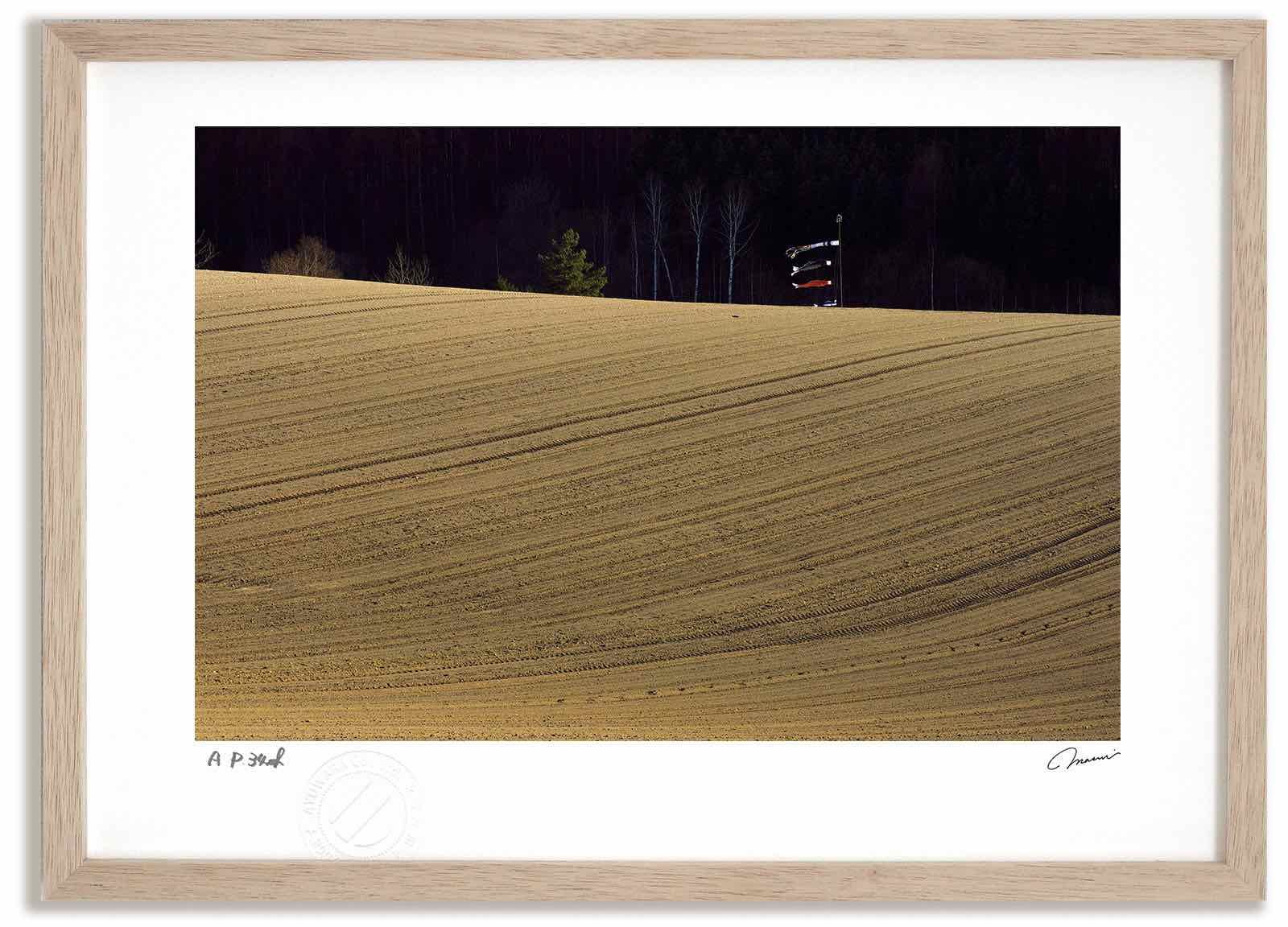 アートフォト 絵画 五月の丘 高橋真澄/インテリア 額入り 額装込 風景画 油絵 ポスター アート アートパネル リビング 玄関 プレゼント モダン アートフレーム 飾る Mサイズ おしゃれ 壁掛け 