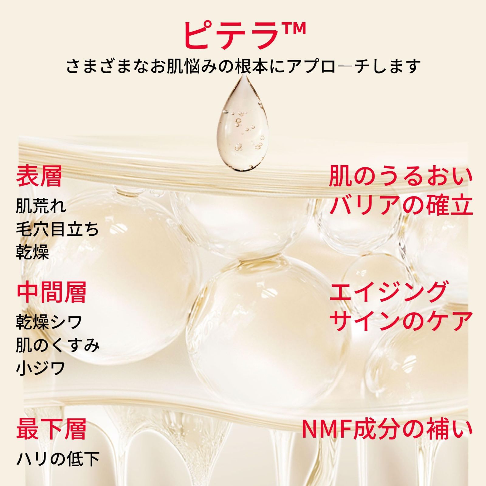 ギフトボックス ユースエッセンシャル