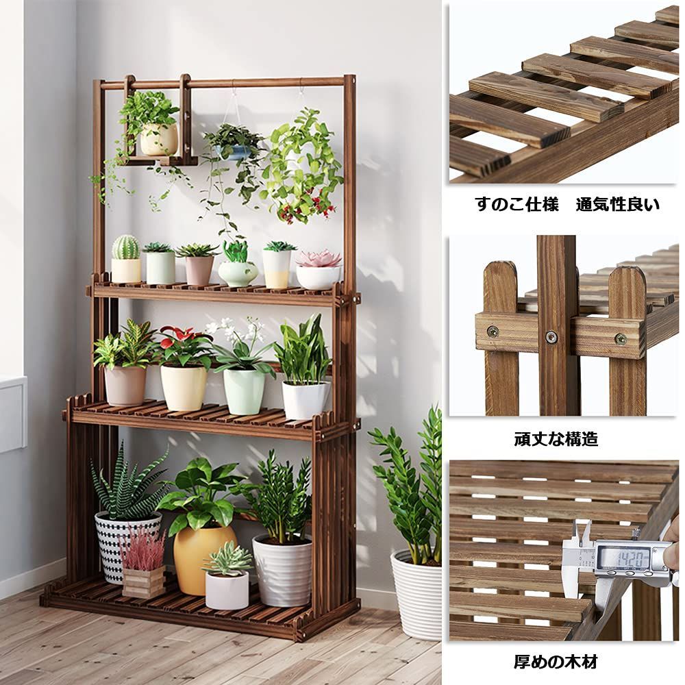 観葉植物 屋外