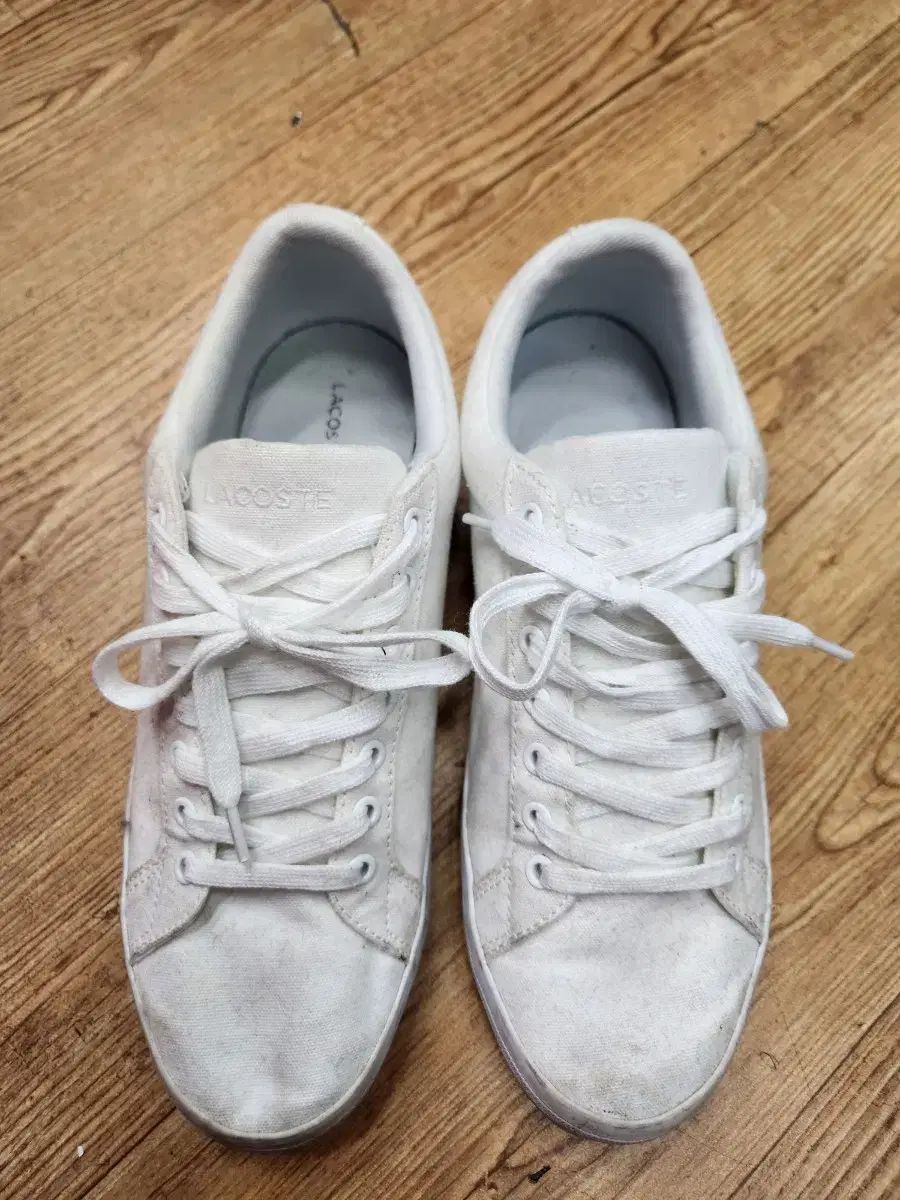 【中古】 さみしいうさぎ 歌集/ながらみ書房/後藤恵市 中古】 さみしいうさぎ 歌集 / 後藤恵市 / ながらみ書房