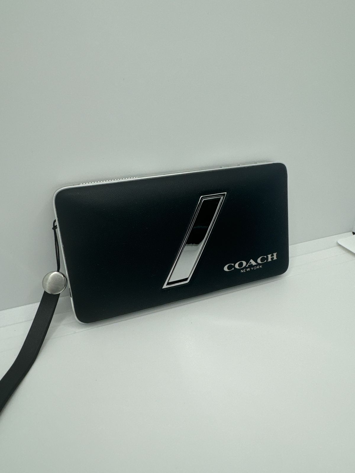 harman/kardon COACH ハーマンカードン コーチ コラボ ESQUIRE MINI COACH LIMITED EDITION エスクワイア ミニ wild beast ワイルドビースト 本体・ケースのみ コード無