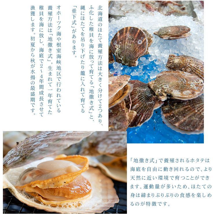 北海道産
