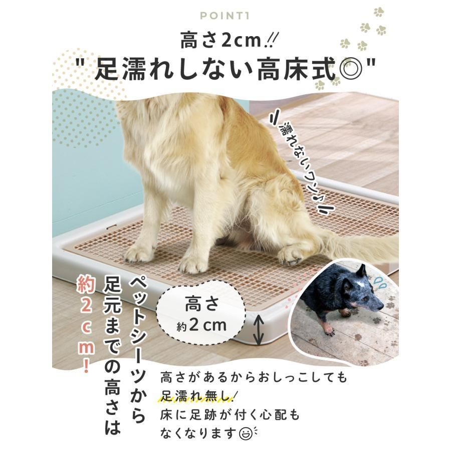 犬