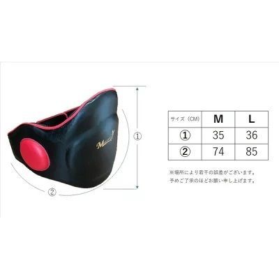 コーチングプロテクタープロ