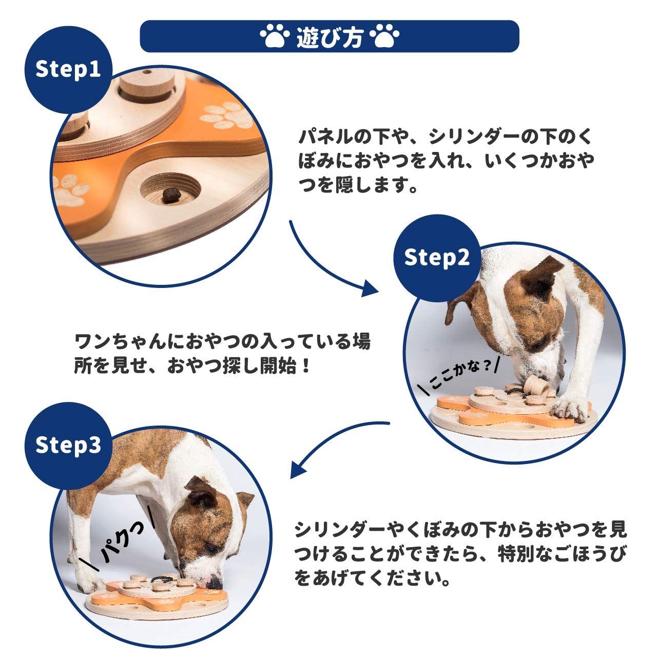 Dog s