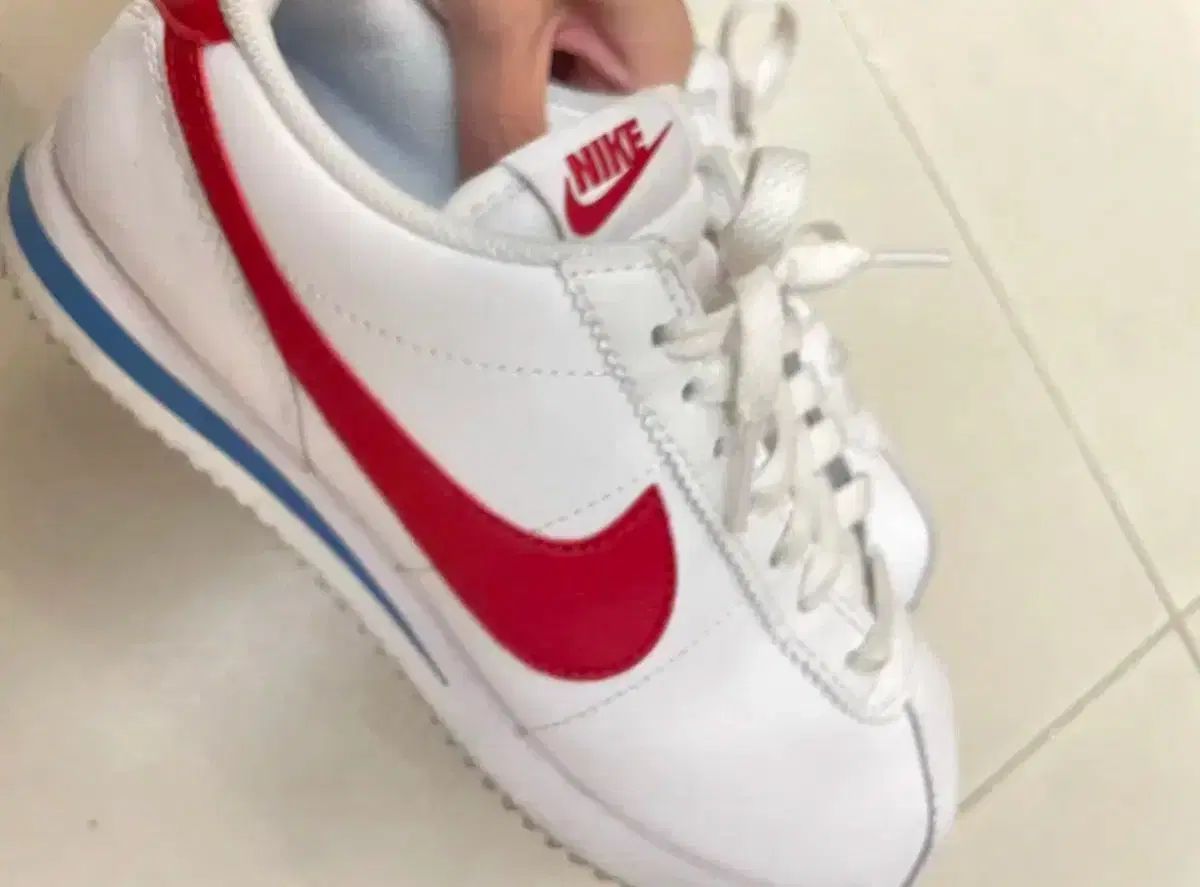 NIKE ナイキ フォルテズ 240