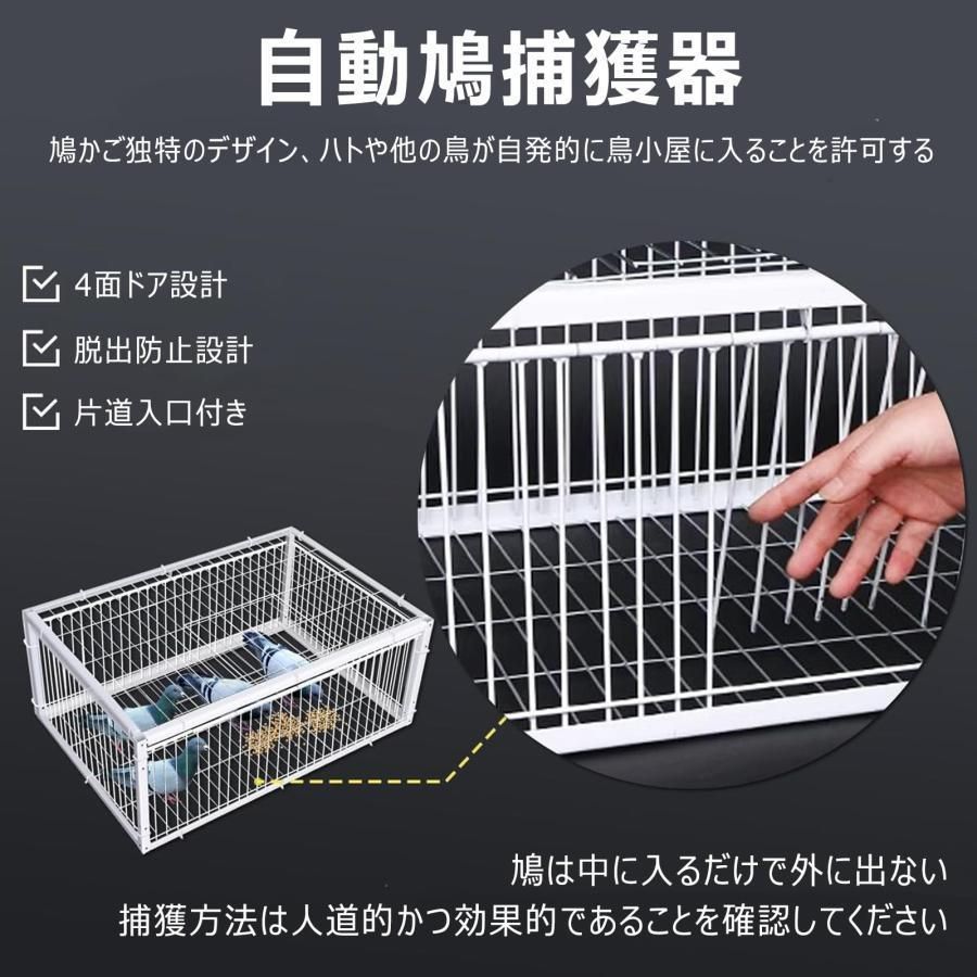天窓付き 自動鳩捕獲器